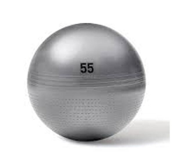 كرة الجيم واليوغا الاحترافية (55 سم) – مضادة للانفجار لنحت الجسم، تحسين التوازن وتمارين الحمل